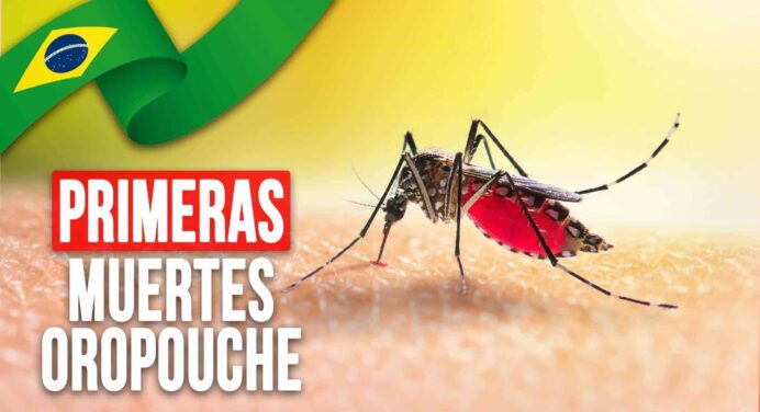 Brasil Reporta las Primeras Muertes por Oropouche en el Mundo