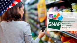Calendario Completo de Pagos SNAP en EE.UU.: ¿Cuándo te Toca en Junio?
