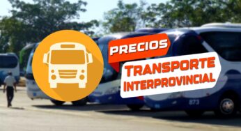 Cambios en Precios del Transporte Interprovincial en Cuba: Estas Serán las Nuevas Tarifas