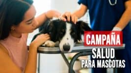 Campaña Gratuita de Salud para Mascotas en el Centro de Cuba ¡Agenda tu Cita!