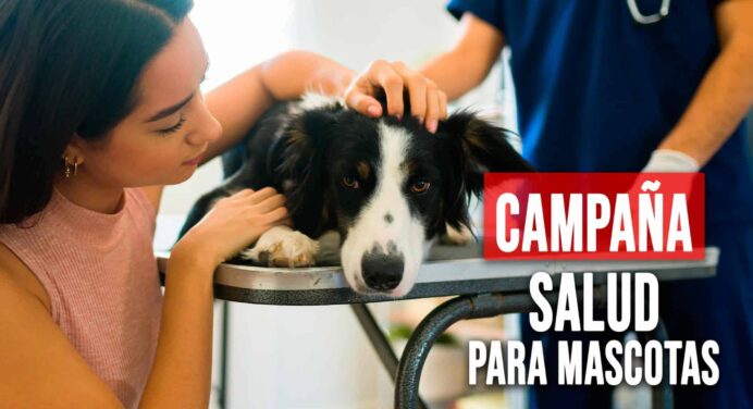Campaña Gratuita de Salud para Mascotas en el Centro de Cuba ¡Agenda tu Cita!