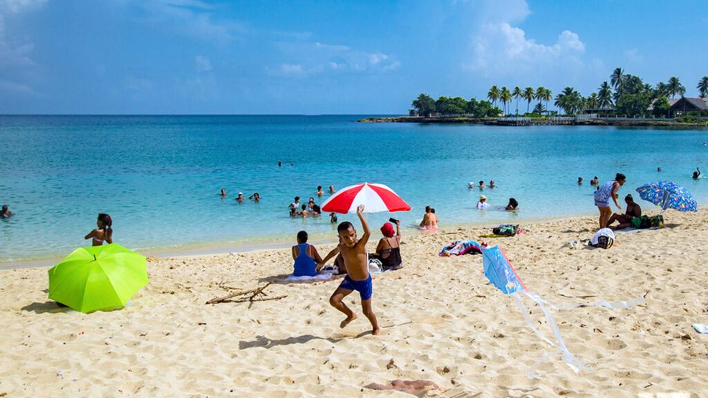 Características principales