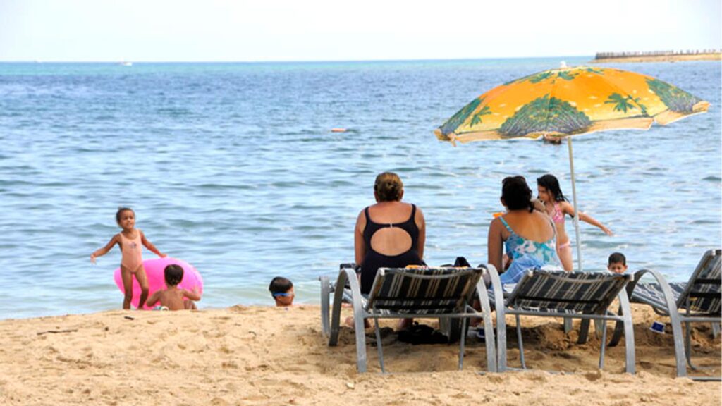 Características principales