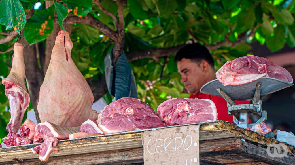 Carne de cerdo: ¿Dónde está el Mamífero Nacional?