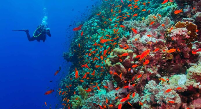 Científico Cubano Forma Parte del Programa Internacional de Jóvenes Delegados del Clima