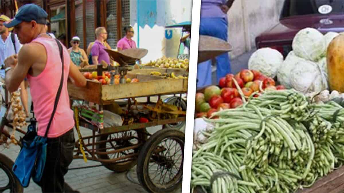 Cierran Quioscos y Sancionan a Comerciantes en Camagüey por Precios Elevados