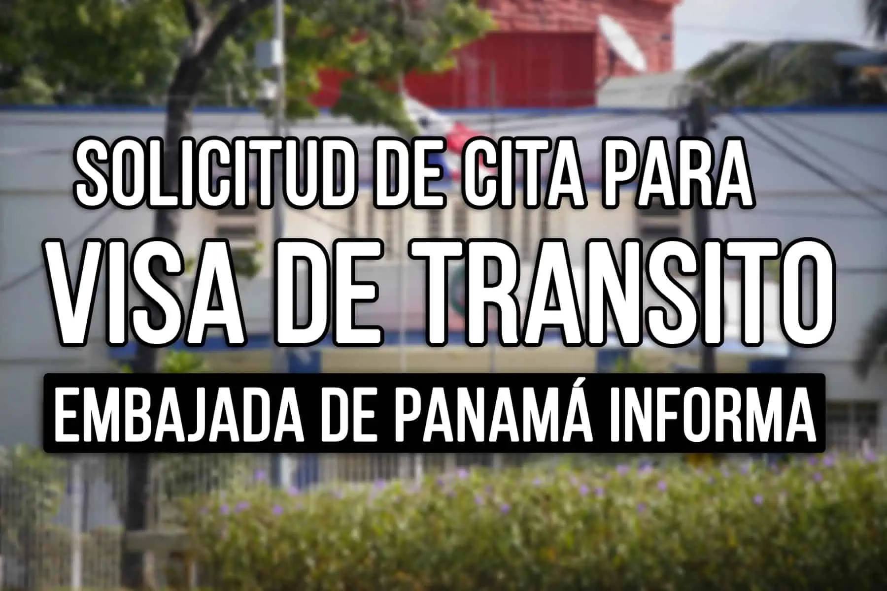 Citas para Solicitar Visa de Transito a Panama