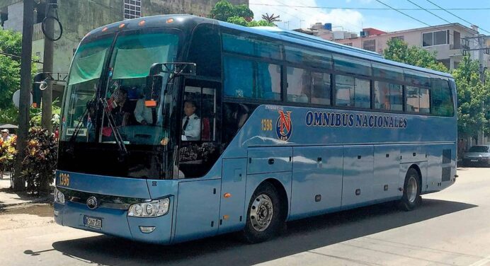 Cobraban Hasta 5000 Pesos por Ir de Pie en la Guagua: Atrapados Choferes de Ómnibus Nacionales