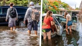 ¿Cómo Prepararse Para Inundaciones Severas? Sigue Esta Guía de Emergencia