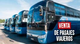 ¿Cómo Será la Venta de los Pasajes por Viajeros Luego de las Interrupciones? Esto Informa la Compañía