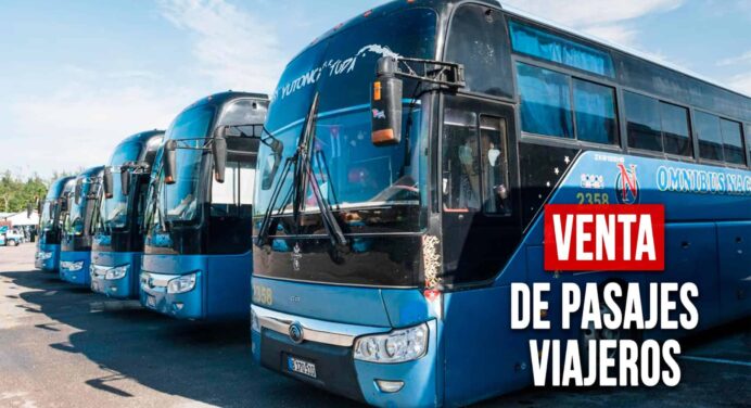 ¿Cómo Será la Venta de los Pasajes por Viajeros Luego de las Interrupciones? Esto Informa la Compañía