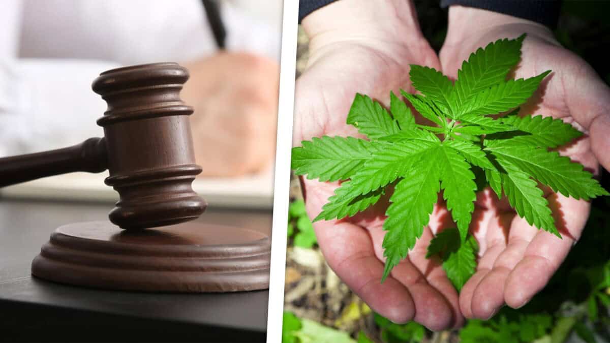 Condenan a 12 Años de Prisión a Dos Jóvenes en Cuba por Transportar Marihuana en Ómnibus Turístico