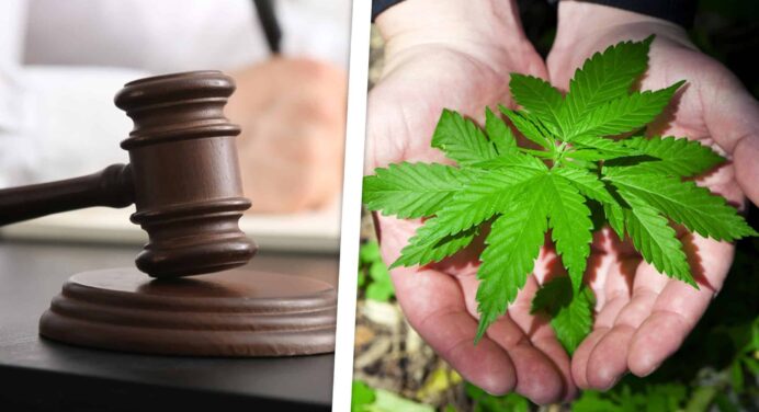 Condenan a 12 Años de Prisión a Dos Jóvenes en Cuba por Transportar Marihuana en Ómnibus Turístico