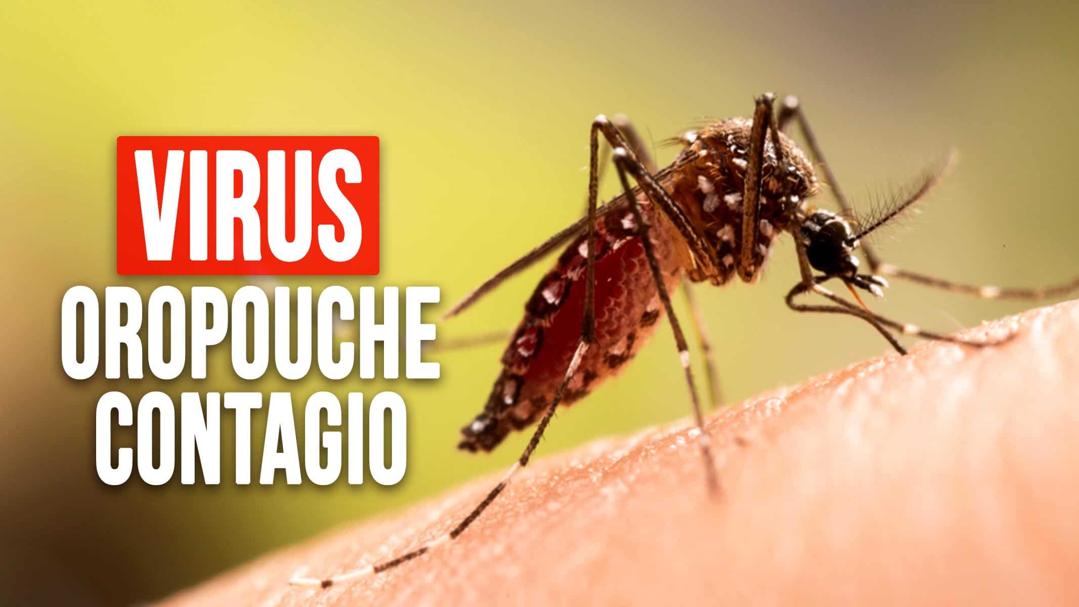 Virus de Oropouche en Cuba: Contagio Alcanza Todas las Provincias