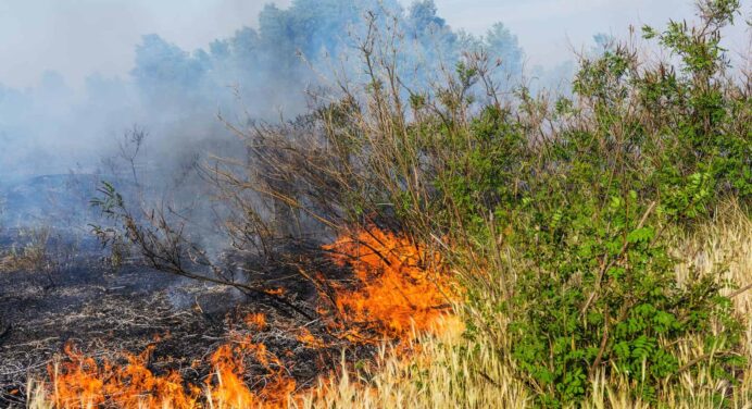 Controlan Incendio Forestal en Occidente Cubano
