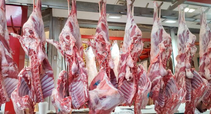 Costa Rica Prevé Exportación de Alimentos a Cuba: Mira Cuáles Productos Podrían Llegar a la Isla