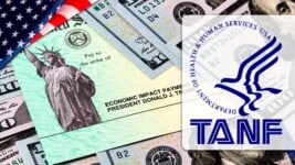Cronograma de Pagos TANF en EE.UU. Para Julio 2025: ¿Cómo Solicitar Ayuda Económica?