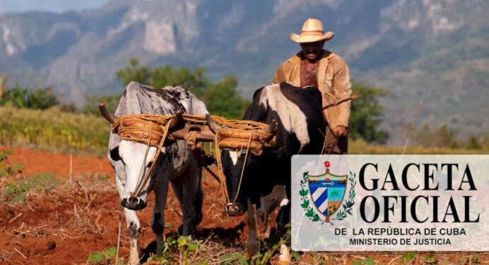 Cuba Aprueba Nuevos Beneficios de Seguridad Social Para Sector Agropecuario: ¿De Qué se Trata? 