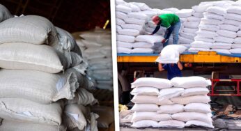 Cuba Recibirá 20 Mil Toneladas de Arroz Chino: ¿Cuándo Arribarán?