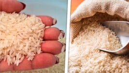 Cubanos Desesperados por el Arroz: Bodegas Vacías Precios Impagables ¿Y Qué Pasará en los Próximos Días?