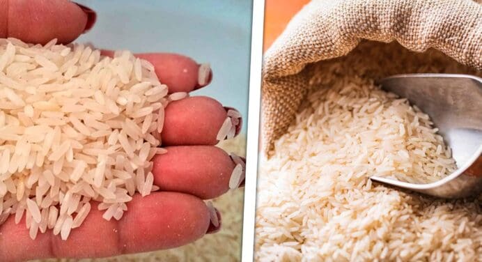 Cubanos Desesperados por el Arroz: Bodegas Vacías Precios Impagables ¿Y Qué Pasará en los Próximos Días?
