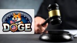 DOGE Gana Acceso a Datos de Seguridad Social en EE.UU.: ¿Qué Peligros Enfrentan los Cubanos Ahora?