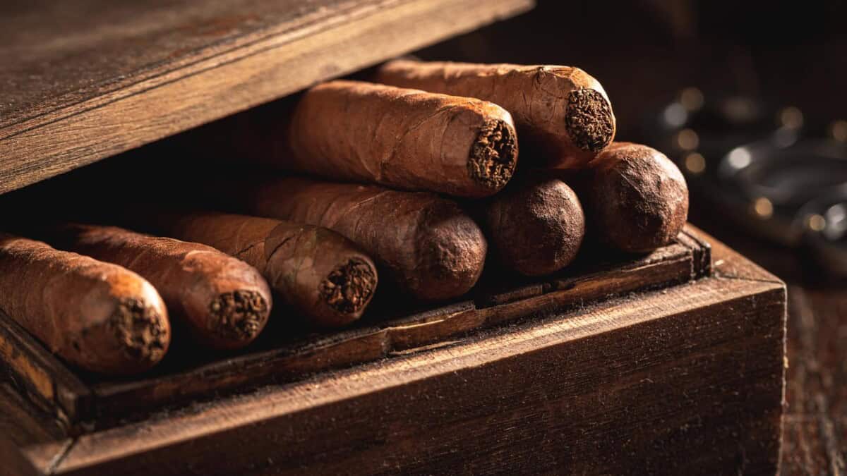 De Vuelta Nueva Edición del Festival Internacional del Habano en Cuba