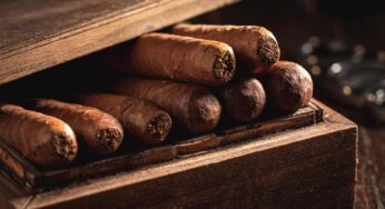 De Vuelta Nueva Edición del Festival Internacional del Habano en Cuba