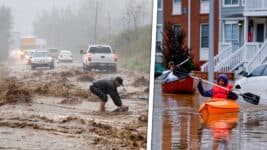 Decenas de Muertos en Estados Unidos y Cuantiosos Daños Tras el Paso de Huracán Helene: ¡Esto Dicen las Cifras!