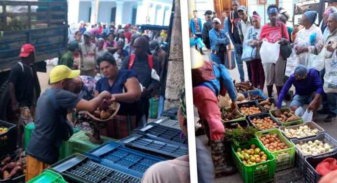 Decomisan Productos Agrícolas y Multan a Vendedores en La Habana