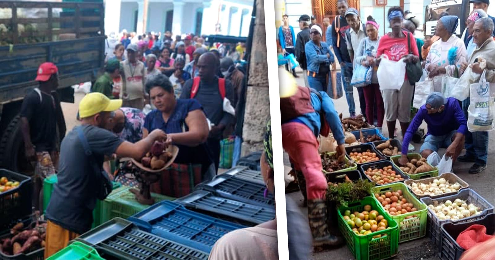 Decomisan Productos Agrícolas y Multan a Vendedores en La Habana