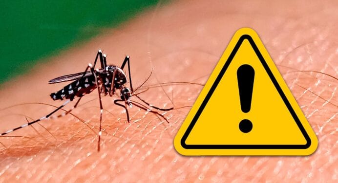 Dengue y Oropouche Avanzan en Cuba: Más de 2 400 Hospitalizados y un Caso Crítico