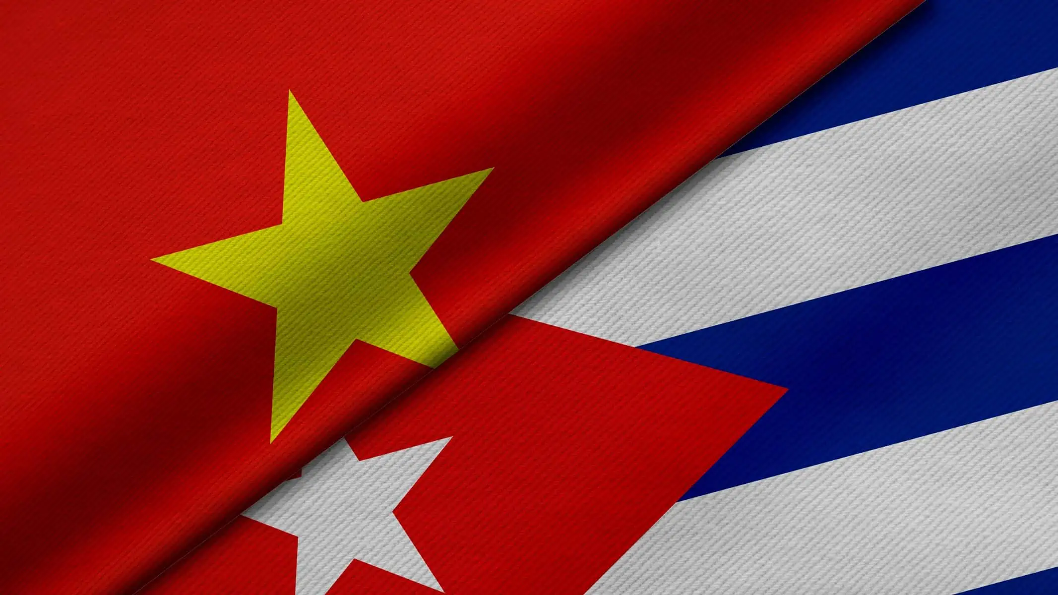 Desarrollan en La Habana Foro de Promocion de Comercio e Inversion entre Cuba y Vietnam
