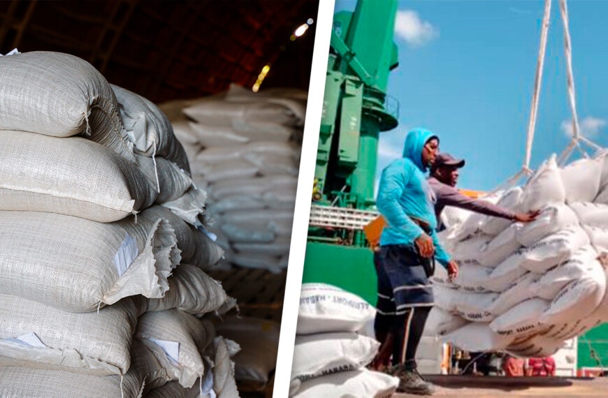 Descargan Arroz en el Puerto de Nuevitas Dirigido a Estas Provincias Cubanas