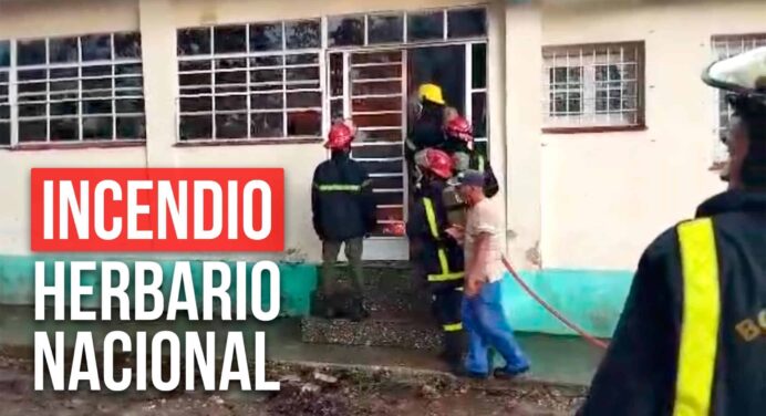 Devastador Incendio en el Herbario Nacional de Cuba: Colecciones Irrecuperables