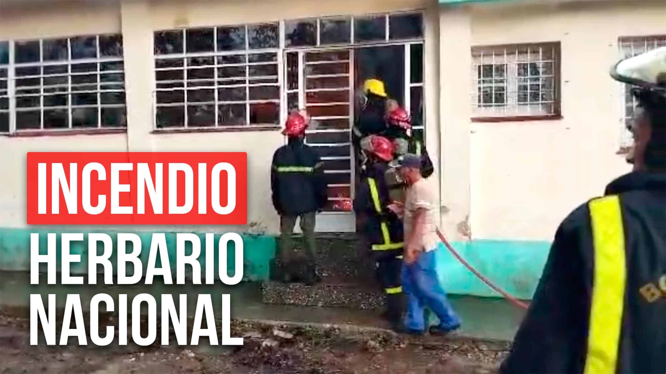 Devastador Incendio en el Herbario Nacional de Cuba: Colecciones Irrecuperables