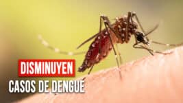 ¿Disminuyen los Casos de Dengue en Cuba? Esto Dice el Dr. Durán Sobre la Situación Epidemiológica