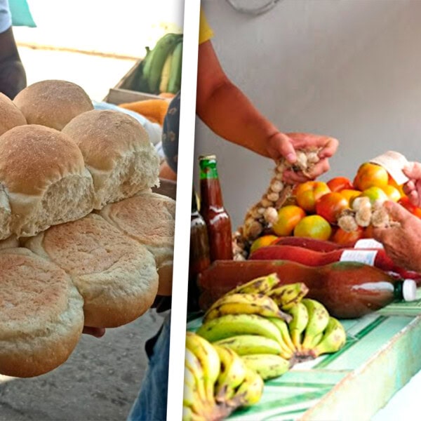 Dólares Desconfianza Escasez y Pan ¿Qué pasa con la Industria Alimentaria en Cuba? Conoce Todos los Detalles