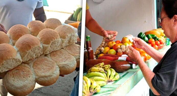 Dólares Desconfianza Escasez y Pan ¿Qué pasa con la Industria Alimentaria en Cuba? Conoce Todos los Detalles