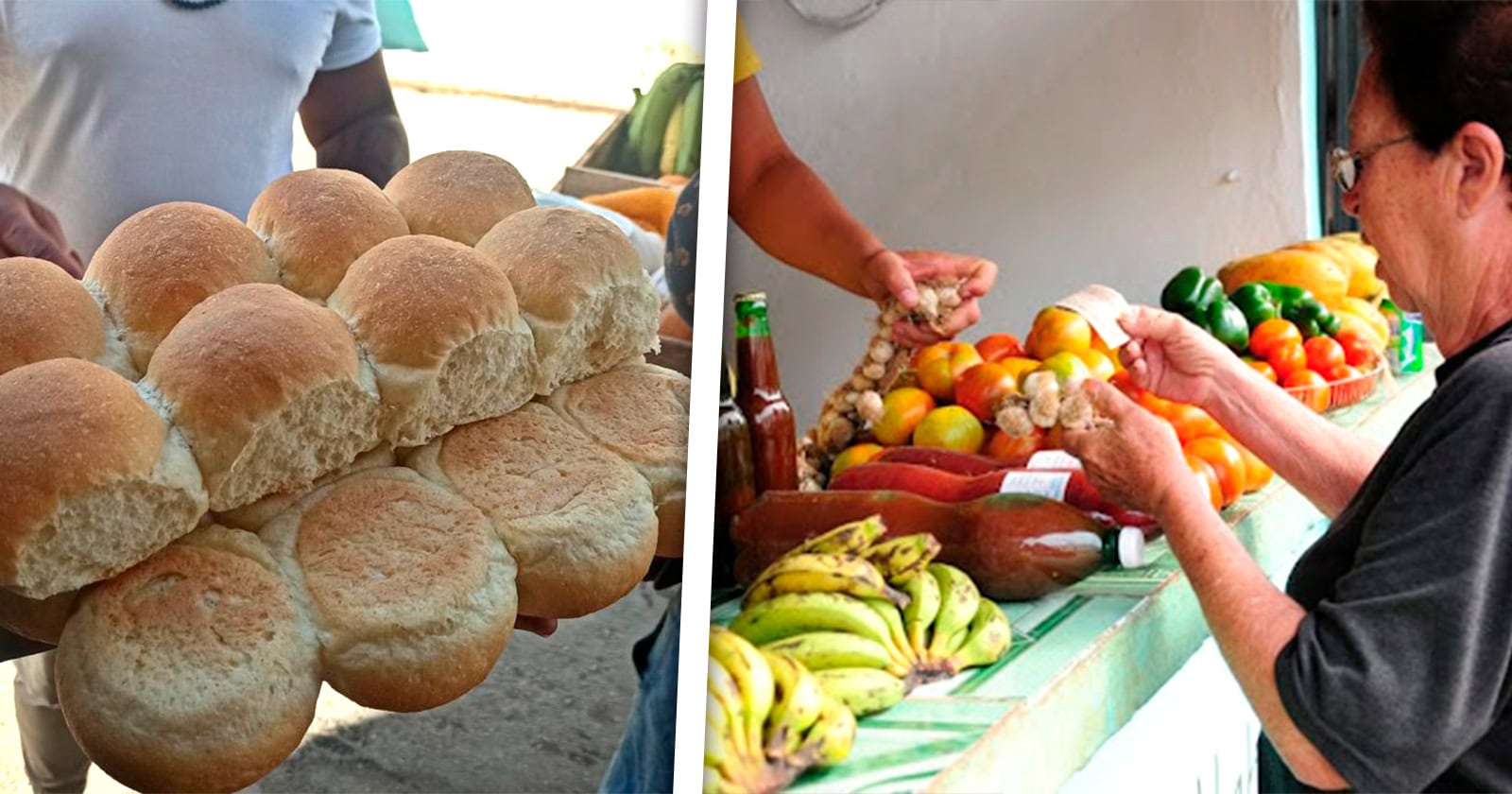Dólares Desconfianza Escasez y Pan ¿Qué pasa con la Industria Alimentaria en Cuba? Conoce Todos los Detalles