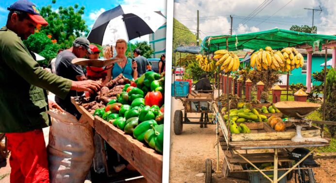 Ventas Forzosas Decomisos y Más: Ejecutan Acciones de Control a Actores Económicos Cubanos