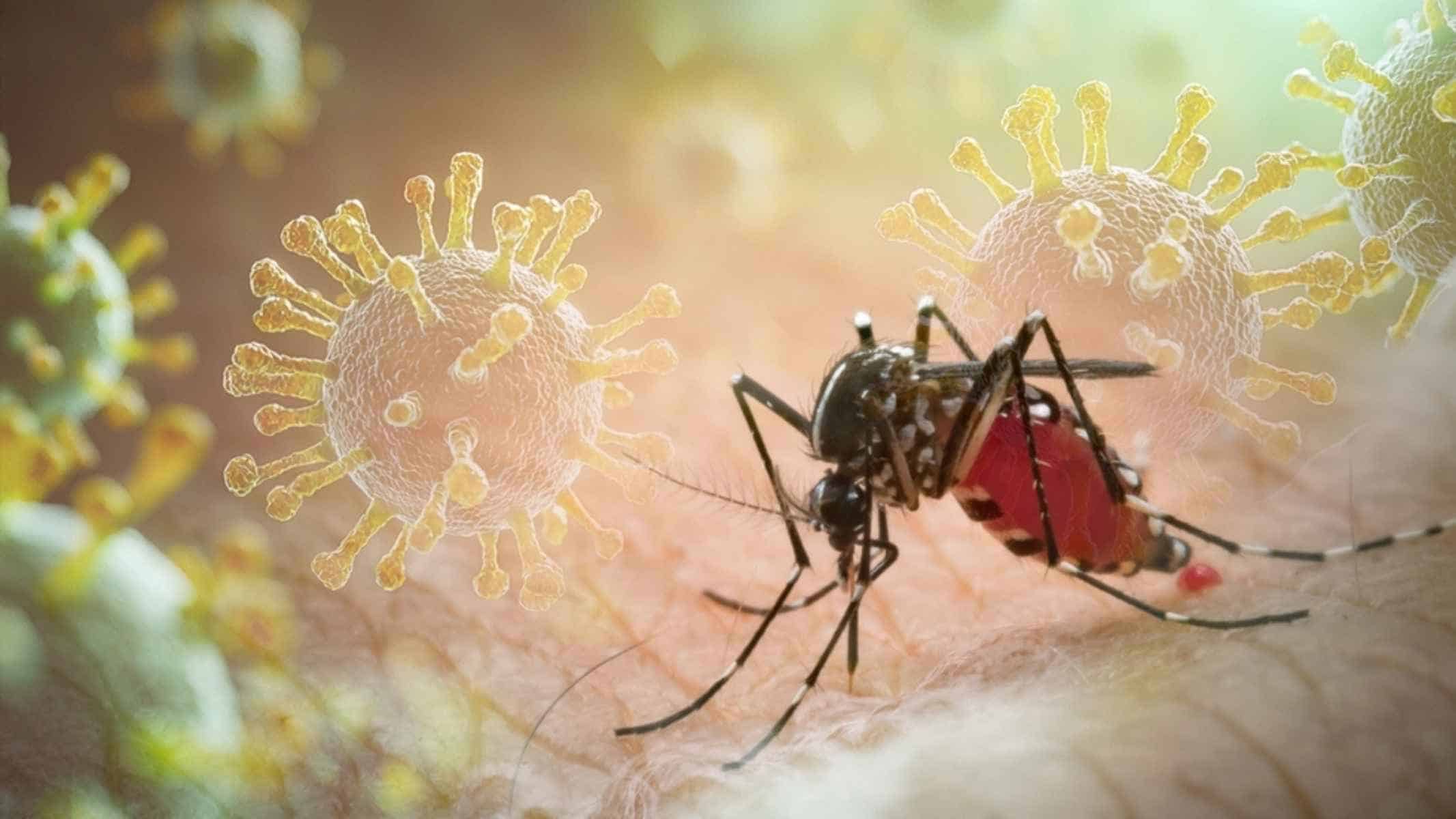 Brote de Chikungunya alarma a Cuba
