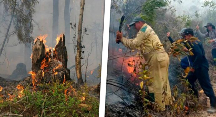 “El Fuego Saltaba de Montaña en Montaña”: Incendio Histórico en el Occidente Cubano