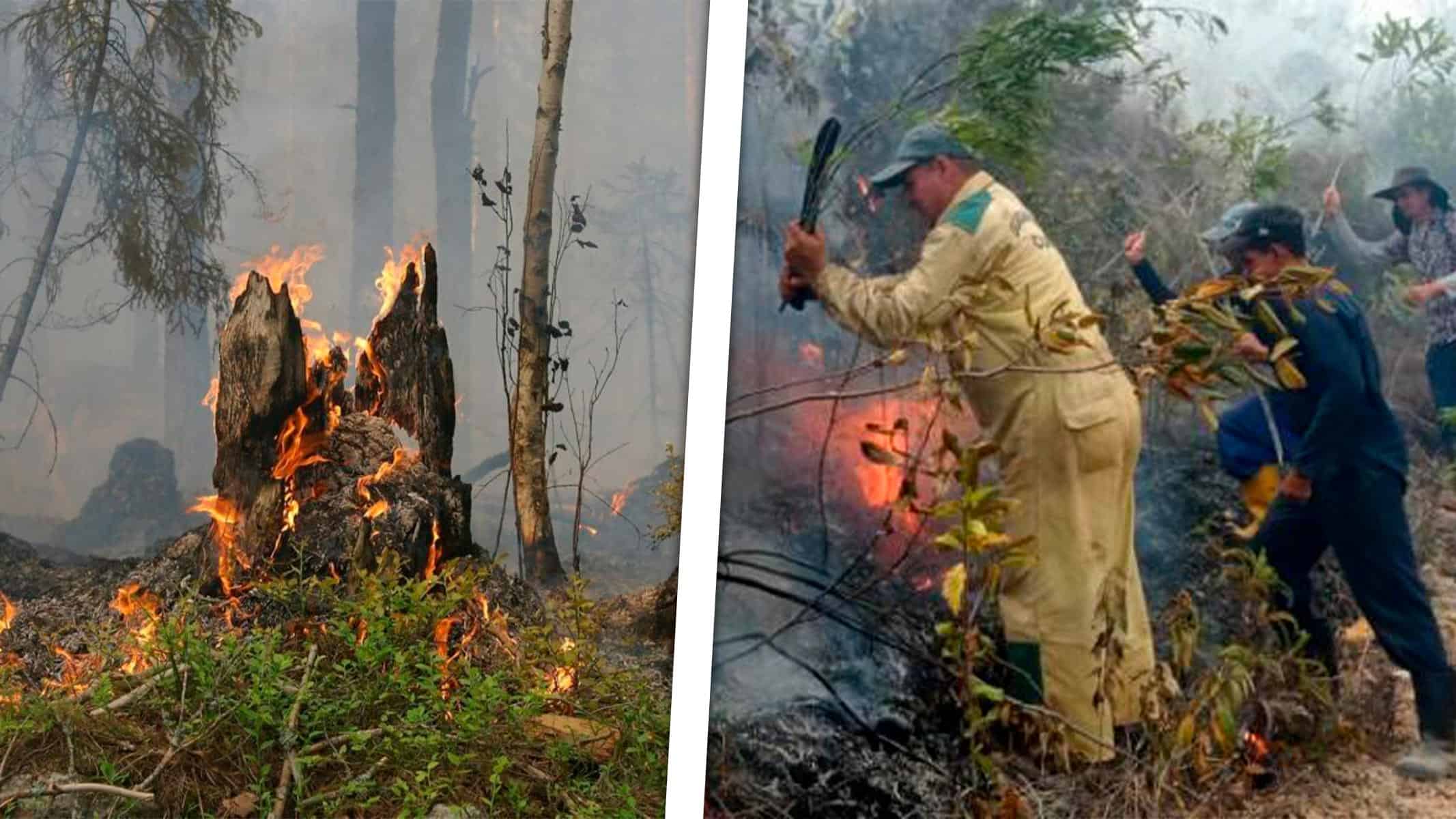 “El Fuego Saltaba de Montaña en Montaña”: Incendio Histórico en el Occidente Cubano