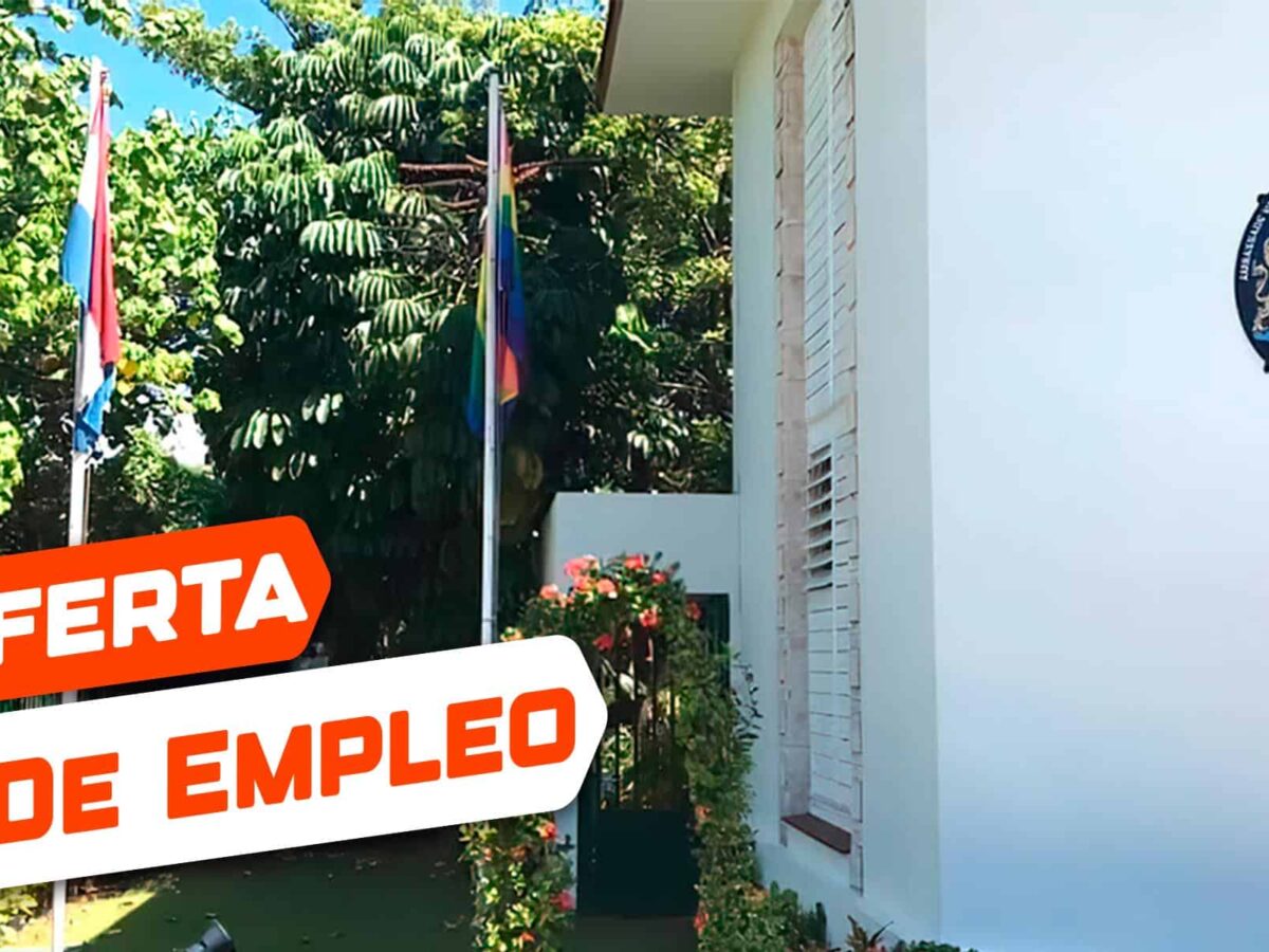 Embajada del Reino de los Países Bajos en Cuba Anuncia Oferta de Empleo