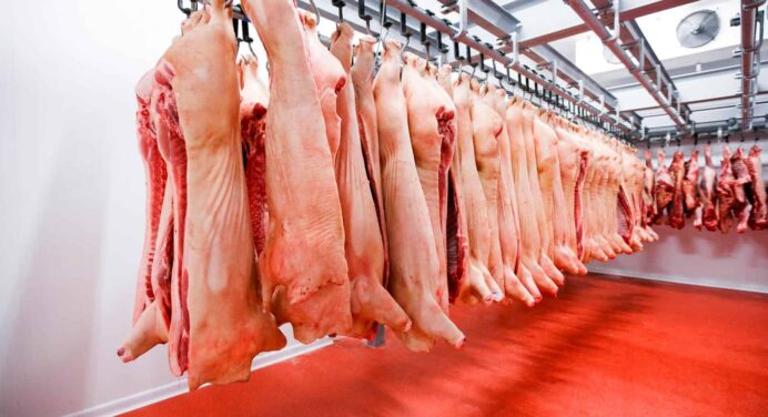 Empresas Mexicanas Logran Certificado Zoosanitario para Exportar Cárnicos Porcinos a Cuba