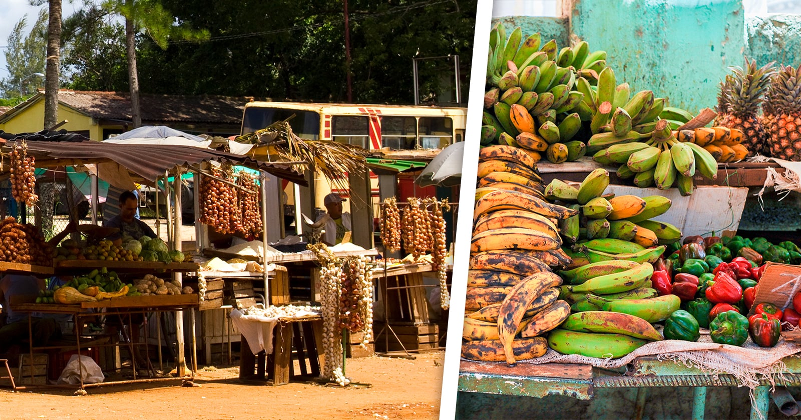 En Estos Municipios Capitalinos Habrá Feria Agropecuaria Este 3 de Febrero