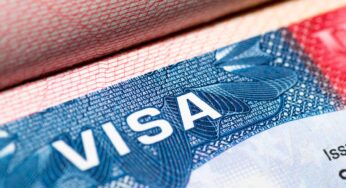 ¿En qué Países se Otorgan Más Rápido la Visa Estadounidense de 5 Años en Noviembre 2023?