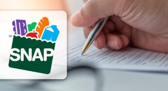 ¿Eres Beneficiario SNAP Florida? Conoce Sobre el Proceso de Solicitud de Recertificación