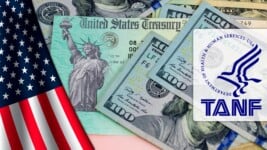 ¿Eres Beneficiario TANF? Calendario y Cifras de Pagos Para Junio 2025